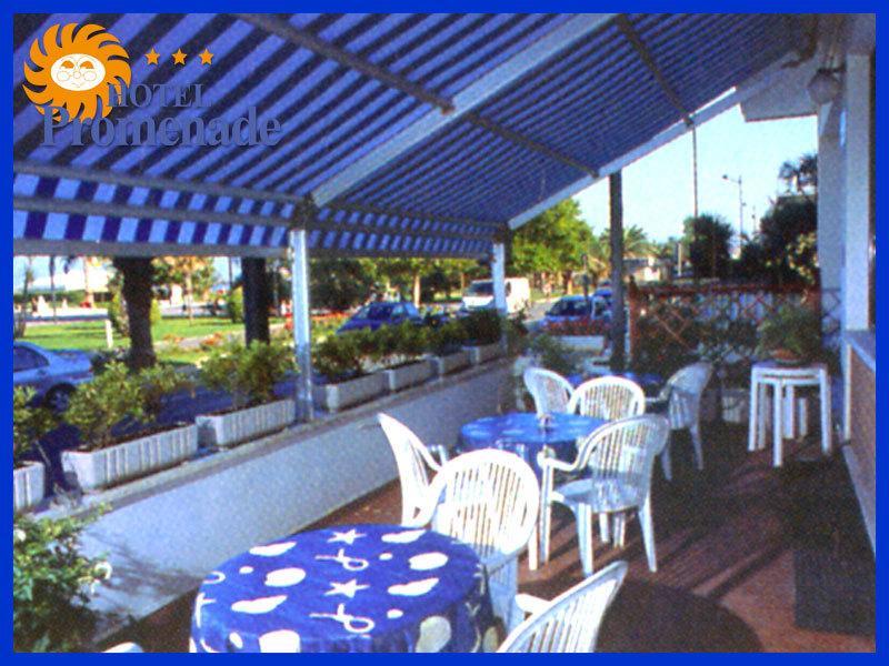 Hotel Promenade Porto Sant'Elpidio Bagian luar foto