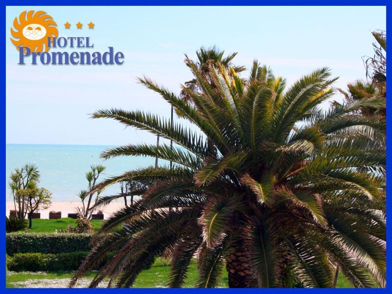 Hotel Promenade Porto Sant'Elpidio Bagian luar foto